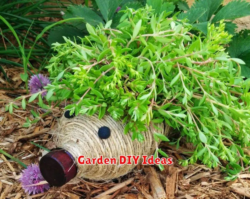 Garden DIY Ideas