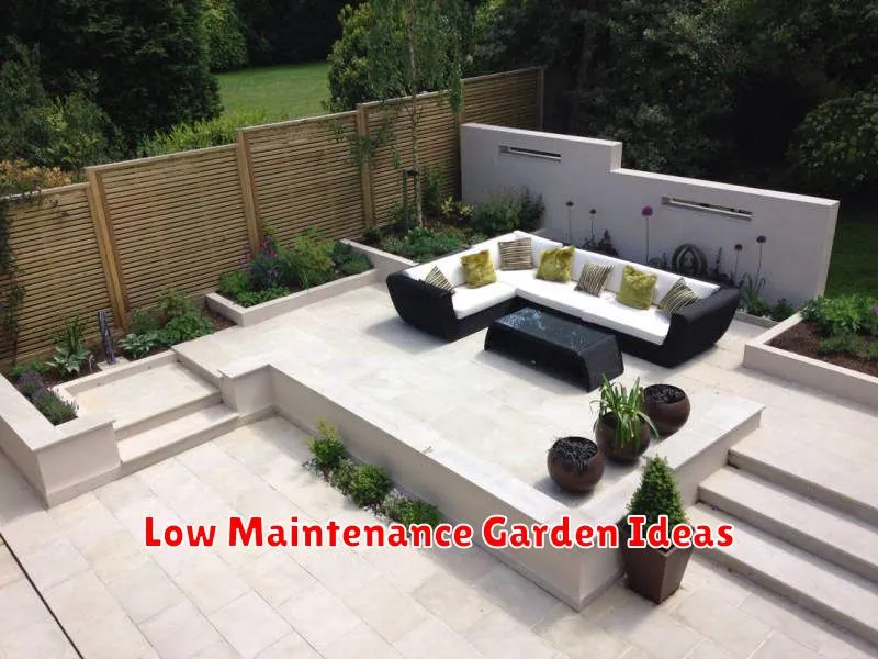 Low Maintenance Garden Ideas