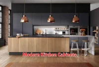 Modern Kitchen Cabinets