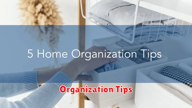 Organization Tips