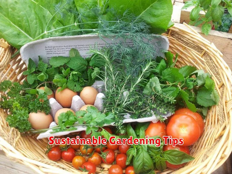 Sustainable Gardening Tips